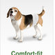 How nice for this male dog.